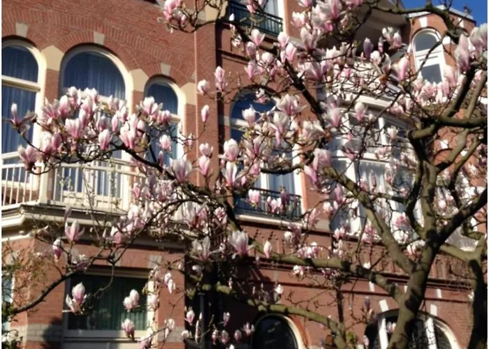 Irene\'S Palace